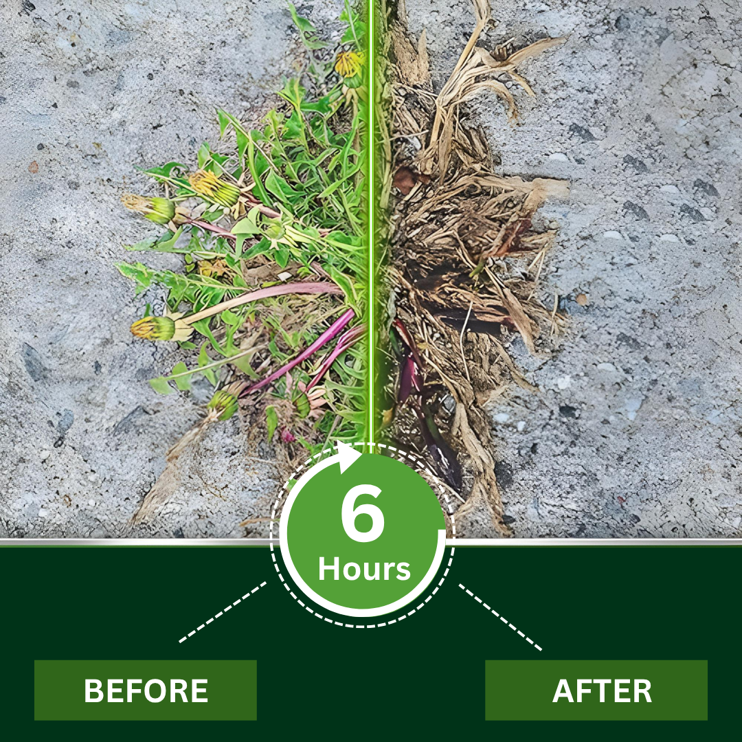 AEXZR® 2 in 1 Max Power Herbicide🔥